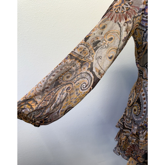 Zara Forest Fairy Dress Womens Size M Sheer Brown Floral Festival Ruffle Whimsy - Picture 3 of 9